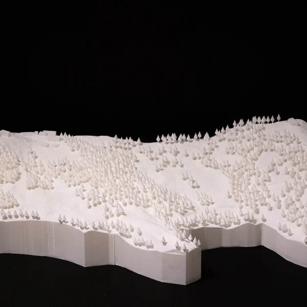 White 3D printed topographical map with trees and terrain details by Print3D.pk.
