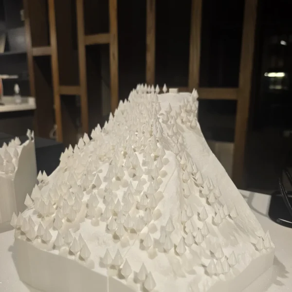 The user wants an SEO-optimized title and alt text for a 3D printed product based on the provided images. - View 2