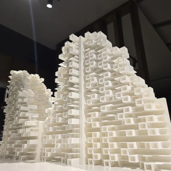 Unique 3D printed wall panels by Print3D.pk for modern architectural designs and decorations. - View 4